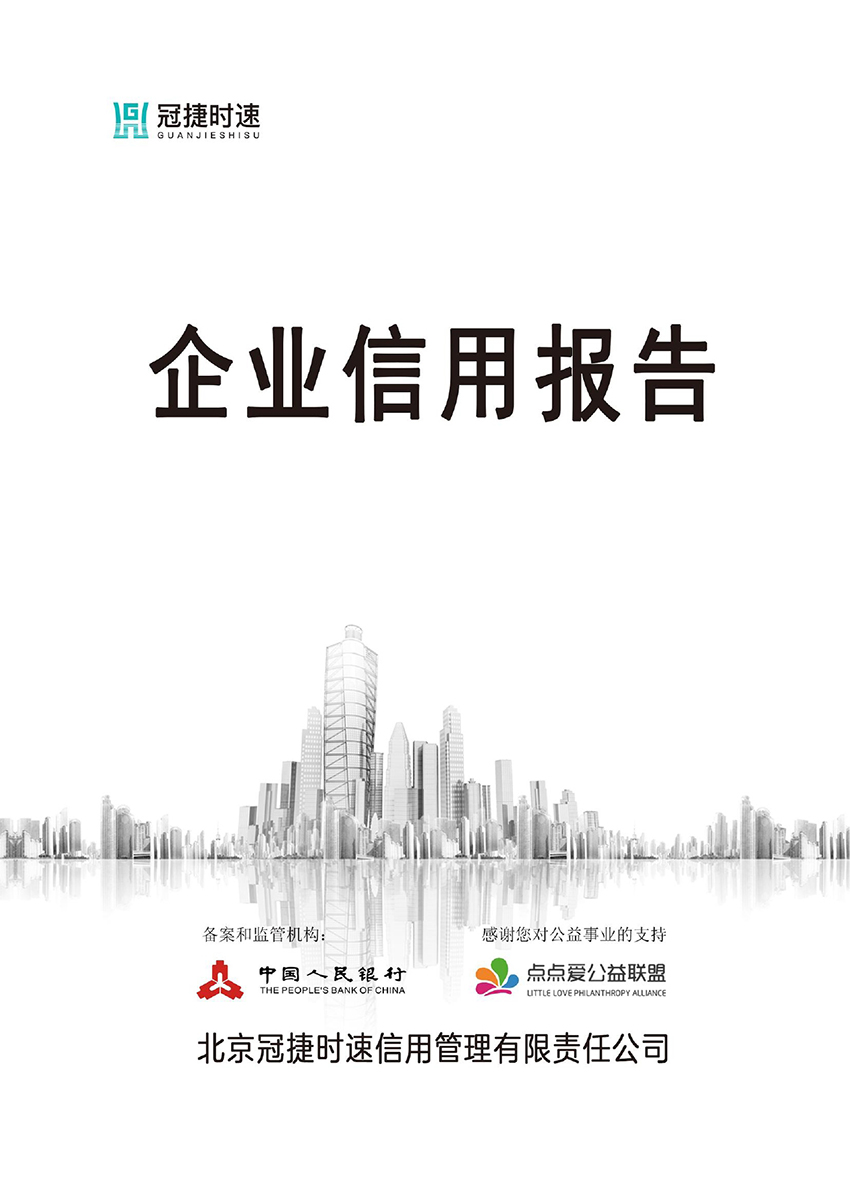 天长市宏伟仪表有限公司-信用报告0000.jpg